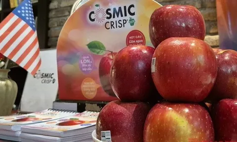 500 container táo Mỹ sắp đổ bộ chợ Tết Việt