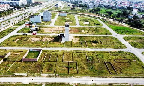 Tin tức sáng 21-12: Quy định mới về bảng giá đất; Côn Đảo sắp có tuyến buýt điện đầu tiên