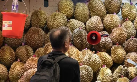 Lào được Trung Quốc cấp phép xuất khẩu sầu riêng tươi, cạnh tranh với Thái Lan