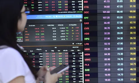 Nhà đầu tư bán tháo cổ phiếu liên quan Shark Hưng?