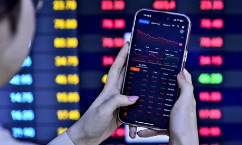 'Cá mập' PYN Elite Fund: Nhiều người nói năm nay nên gọi là 'VIN-Index'