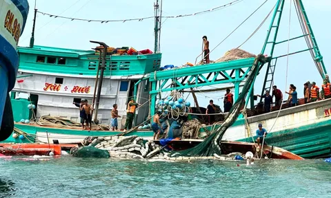 Kịp thời cứu 13 ngư dân trong vụ chìm tàu cá gần đảo Hòn Chuối