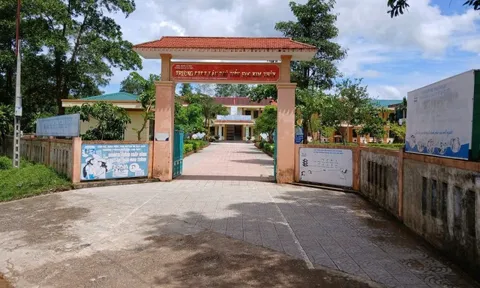 Vụ 40 học sinh ngộ độc phải nhập viện cấp cứu: Cách chức hiệu trưởng và hiệu phó