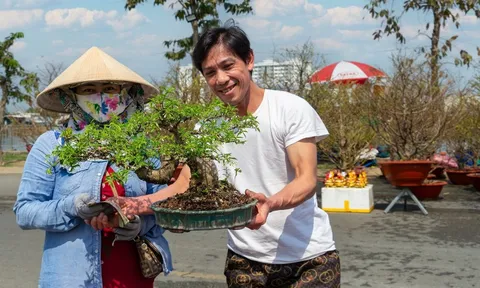 Chợ hoa xuân Bình Điền Bính Ngọ 2026: Điểm đến sắc xuân, vui Tết, mua sắm hấp dẫn