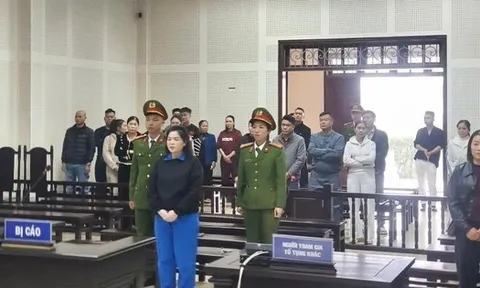 Người phụ nữ lừa đảo hơn 31 tỉ đồng để "nướng" vào cờ bạc