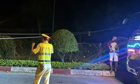 Cao tốc Liên Khương - Prenn tắc hai hướng do dây điện trung thế vắt ngang đường