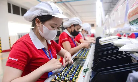 Tiền thuê đất chưa rõ, dự án tại Khu công nghệ cao chậm tiến độ