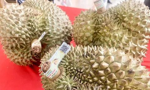 Ra mắt hệ thống truy xuất nguồn gốc nông sản Việt Nam