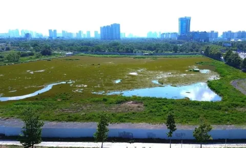 Bảng giá đất mới có giúp TPHCM dễ đền bù, giải phóng mặt bằng?