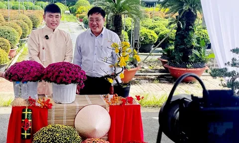 Vựa hoa, nhà vườn miền Tây tất bật livestream bán hoa Tết sớm cùng người nổi tiếng