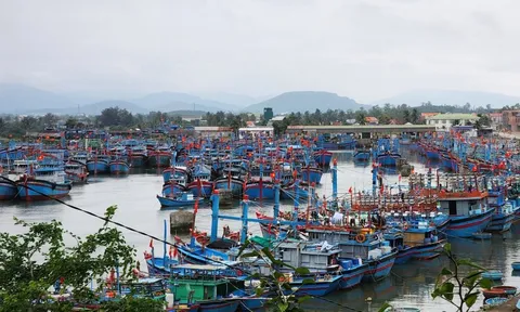 Quảng Ngãi chi hơn 20 tỉ đồng hỗ trợ chuyển đổi nghề, giải bản 130 tàu cá