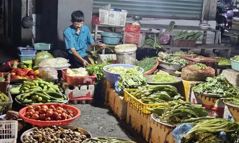 Giá rau hạ nhiệt liên tục, có loại còn 5.000 đồng/kg