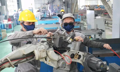 Từ 1-1-2026, nhiều luật mới điều chỉnh AI, bảo vệ dữ liệu và môi trường đầu tư