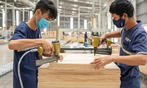 Mỹ bất ngờ hoãn tăng thuế với gỗ nhập khẩu theo Mục 232