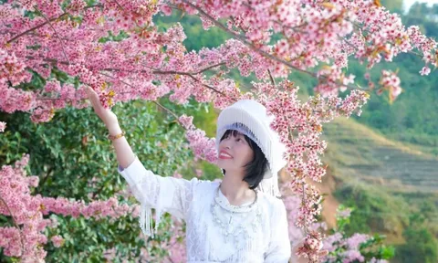 Đổ xô du lịch Sa Pa, Mù Cang Chải