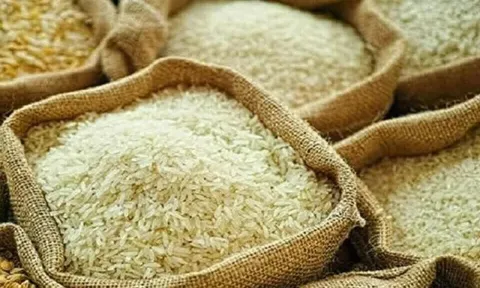 Giá gạo Ấn Độ chạm mức đỉnh ba tháng