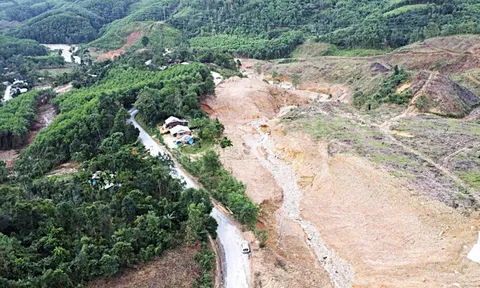 Rừng keo - cây xóa đói giảm nghèo và nỗi lo sạt lở? - Kỳ 1: Liên tục mở rộng diện tích rừng keo