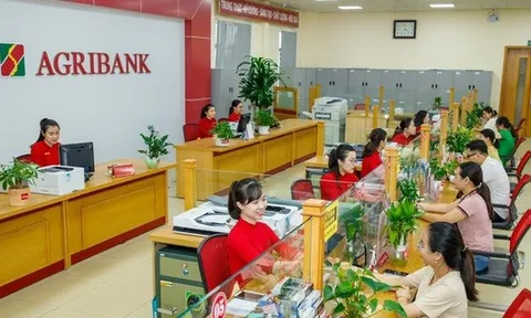 Lãi suất ngân hàng Agribank mới nhất tháng 1/2026: Lần đầu tiên tăng sau hơn 3 năm, kỳ hạn nào có lãi suất cao nhất?