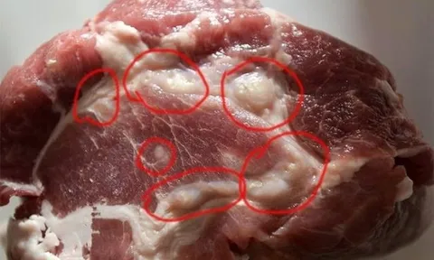 "3 nhớ 5 không" để nhận biết thịt lợn ngon, khác xa lợn bệnh, lợn chết