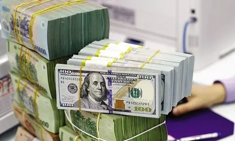 Cập nhật ngày 9/1: Lãi suất qua đêm VND xuống thấp hơn USD, NHNN giảm hỗ trợ thanh khoản