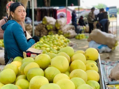 Độc đáo phiên chợ 'đệ nhất danh quả' nức tiếng Hà Tĩnh