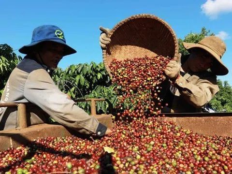 Nông sản Việt sắp lên sàn thương mại điện tử Trung Quốc