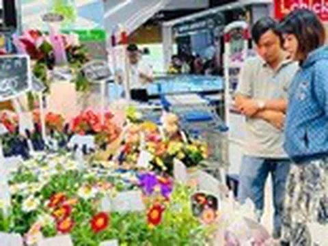 Saigon Co.op tổ chức tuần lễ trái cây tri ân ngày nhà giáo Việt Nam