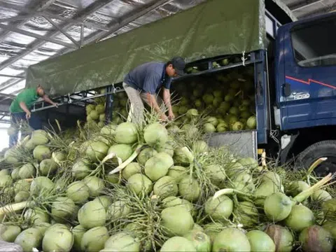 Rau quả Việt lên sàn thương mại điện tử Trung Quốc: Kim ngạch xuất khẩu 10 tỷ USD không còn xa