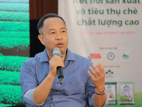 CEO Trà Cozy: Cây chè không còn là cây xóa đói giảm nghèo