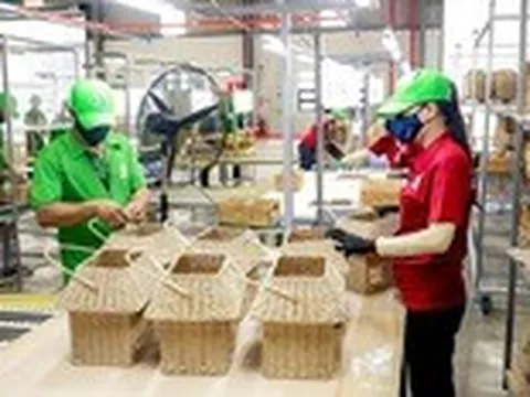 Lục bình, cỏ năn tượng đem về ngàn tỉ