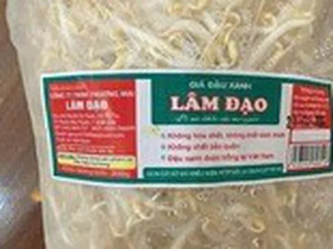 Công ty cung cấp giá ủ chất cấm cho Bách Hóa Xanh: Mới thành lập, vốn 200 triệu đồng