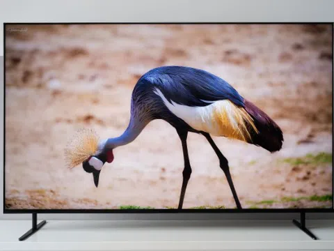 Vì sao TV Sony BRAVIA là lựa chọn hàng đầu để xem phim dịp Tết này?