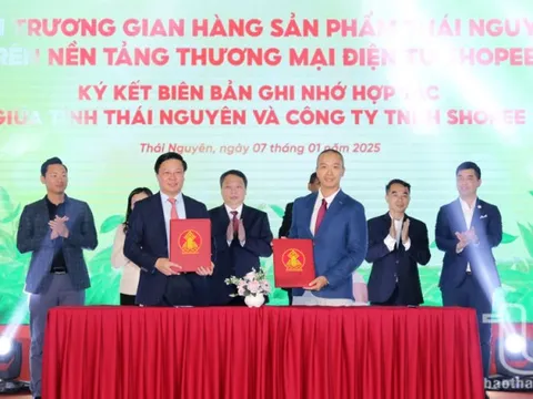 Thái Nguyên ký kết hợp tác và khai trương gian hàng trên Shopee