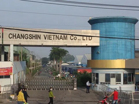 Vi phạm về đất đai, bảo vệ môi trường tại Công ty Chang Shin Việt Nam