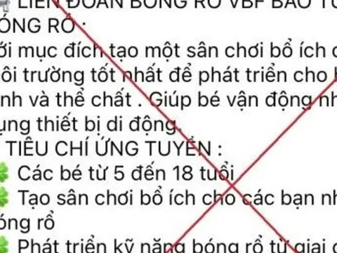 Người phụ nữ ở Hà Nội bị lừa hơn 1 tỷ đồng khi đăng ký khóa học bóng rổ cho con trên mạng