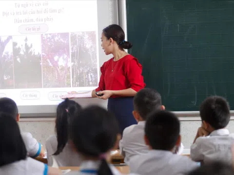 Cấm dạy thêm, học thêm: Dạy ‘chéo cánh’ để lách quy định