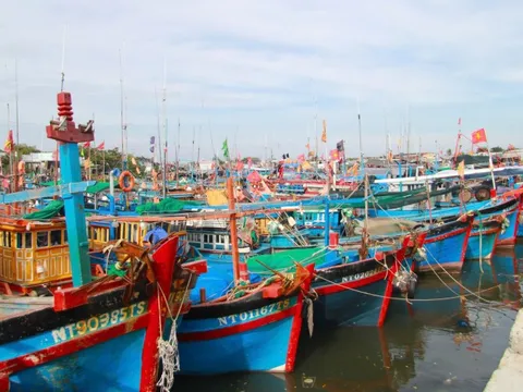 Tàu cá đồng loạt nằm bờ vì gió lớn, ngư dân Ninh Thuận lo mất Tết