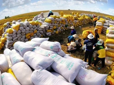 'Gạo Việt Nam không bao giờ ế, đừng lo'