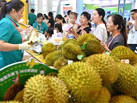 Việt Nam cạnh tranh khốc liệt thị phần sầu riêng ở Trung Quốc
