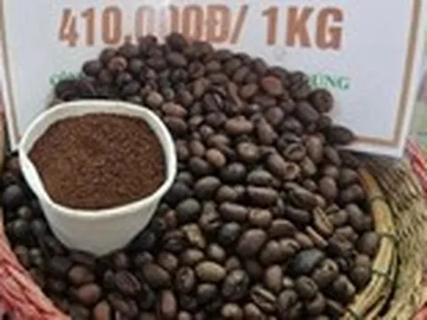 Giá cà phê thế giới quay đầu tăng, xuất khẩu cà phê Việt Nam có thể đạt đến 8 tỉ USD