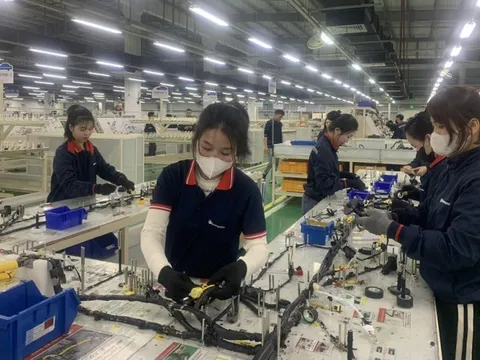 Nhiều doanh nghiệp tại Nghệ An gấp rút tuyển số lượng lớn lao động, thu nhập cao