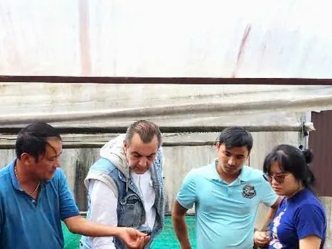 Ca cao khan hiếm giữa ‘cơn sốt’ giá kỷ lục