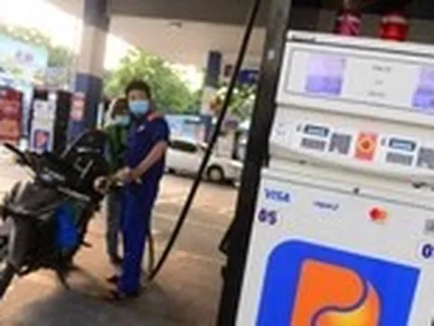 Lợi nhuận Petrolimex lao dốc, đang có gần 28.000 tỉ gửi ngân hàng, 'rót' vào trái phiếu