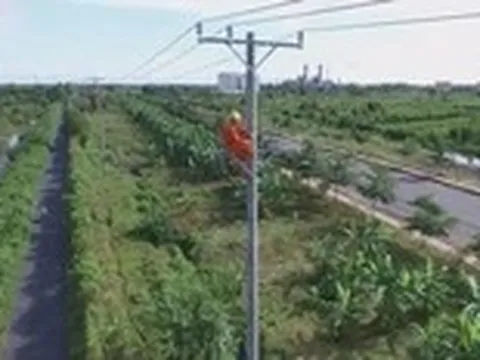 Cuộc thi clip ‘50 năm - Tỏa sáng miền Nam’: Chuyển đổi số trong công tác kỹ thuật