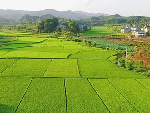Chi tiết về hồ sơ, thủ tục khi người dân muốn xây nhà trên đất nông nghiệp theo Luật Đất đai mới