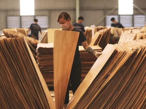 Ngành gỗ Việt trước "cú sốc" thuế Mỹ: Cần một mô hình tăng trưởng mới