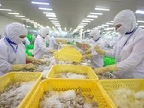 Từ tôm đến gỗ, nhiều doanh nghiệp Việt tăng tốc giao hàng sang Mỹ