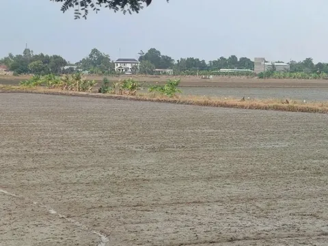 Chủ động điều chỉnh quy định về đất đai khi sáp nhập tỉnh, thành