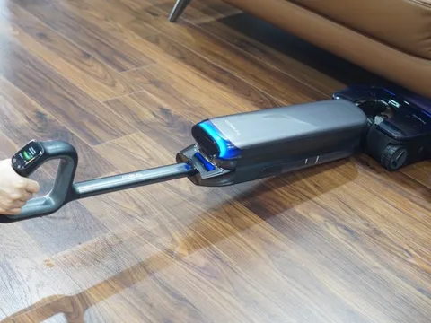 'Cây lau nhà' giá 17 triệu đồng
