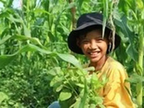 Cậu bé 11 tuổi bán rau phụ mẹ nuôi em
